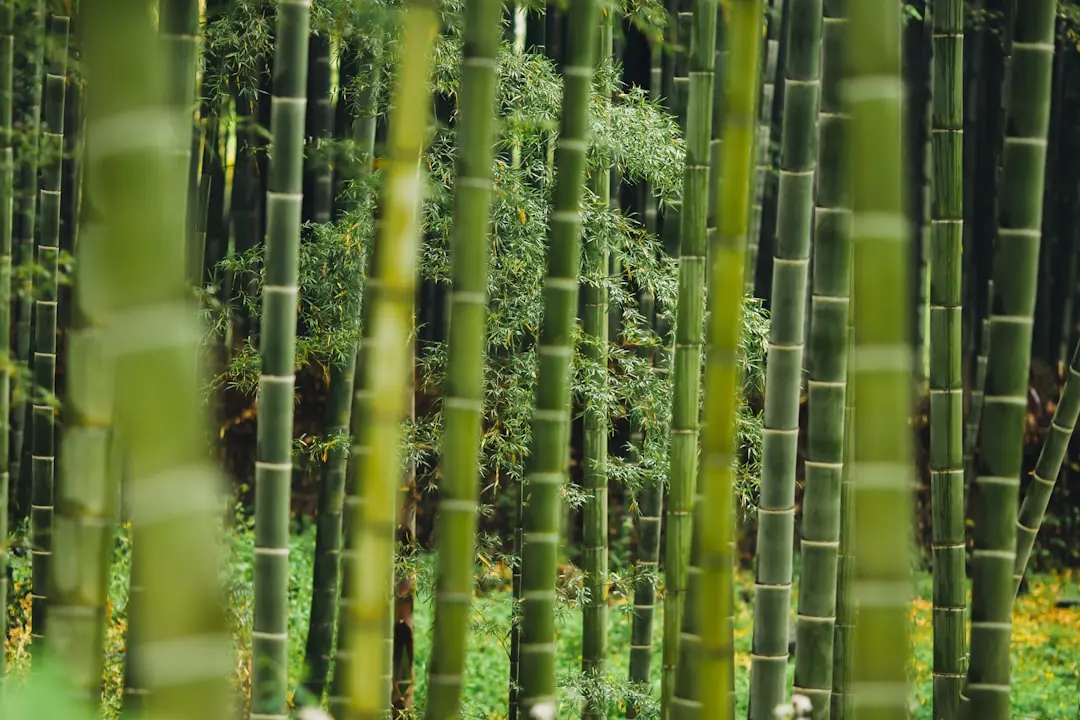 工控机箱与普通机箱的区别及选型要点分析封面图